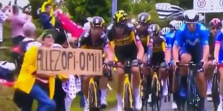 The woman who caused Tour de France crash will be sued once caught