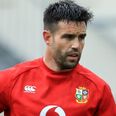 Murray and Beirne among nine players isolating after Covid hits Lions camp