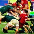 South African reporter that labelled Lions as hobbits threw a wobbler after their win