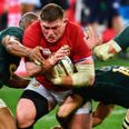 Full player ratings as South Africa leave Lions battered, bruised and beaten