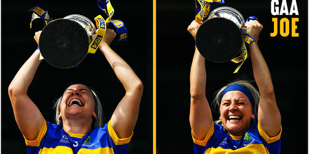 Wicklow captain raises the roof with rip-roaring speech from the steps of the Hogan Stand