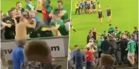 Mass brawl breaks out at end of Laois senior football clash