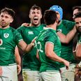 Four Ireland stars voted onto Autumn Nations Series ‘Best XV’