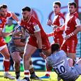 Scarlets forced to forfeit Champions Cup opener after Covid outbreaks