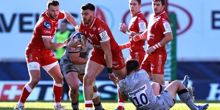 Scarlets forced to forfeit Champions Cup opener after Covid outbreaks