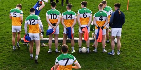 Offaly and Louth GAA united in grief during poignant Ashling Murphy tribute