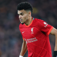 Jurgen Klopp pays new signing Luis Diaz the ultimate compliment after first start for Liverpool