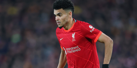 Jurgen Klopp pays new signing Luis Diaz the ultimate compliment after first start for Liverpool
