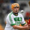 Kilkenny captain and vice-captain for 2022 season has been selected
