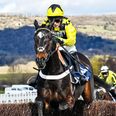 Cheltenham Day Two Live: Follow all the action here