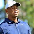 “I can hit the ball just fine… now walking is the hard part” – Tiger Woods