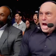 Commentating cage-side, Daniel Cormier missed the UFC knock-out of the year
