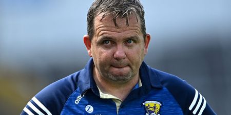 Davy Fitzgerald responds to links with vacant Laois job