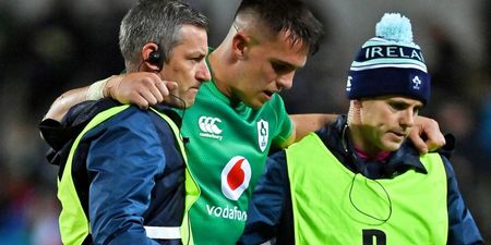 Ireland confirm arrival of replacements as James Hume returns home