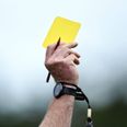 Roscommon GAA propose lengthy ban for alleged assault on referee