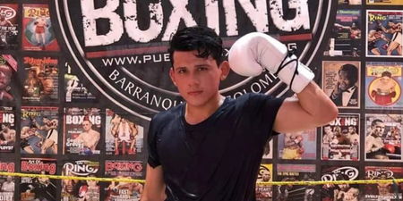 Boxer, 25, dies after knock-out in final minute of fight