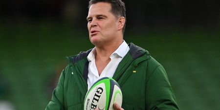 Rassie Erasmus could not help himself with post-match video clip about Ireland defeat