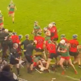 More shocking footage from Parnell Park emerges, as Leinster GAA condemn brawl