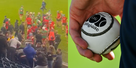 Lengthy bans proposed for Oulart-the-Ballagh and Naomh Barróg players and spectators after row