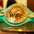 WBC President reveals plans to introduce transgender category for boxing