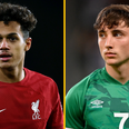 Two Ireland stars included in Premier League’s ‘young English XI’