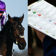 The three best outside bets at the Cheltenham festival