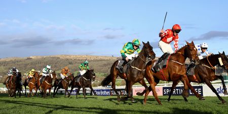 Cheltenham festival Day Two: All the odds, tips, action and talking points