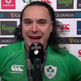 James Lowe challenges Ireland’s Grand Slam winners to scale even greater heights