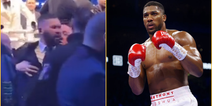 Tony Bellew almost comes to blows with trainer after Anthony Joshua fight