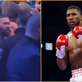 Tony Bellew almost comes to blows with trainer after Anthony Joshua fight