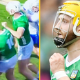 Waterford mentor sent off and Limerick doctor yellow carded in the maddest minute of hurling you’ve ever seen