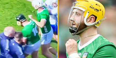 Waterford mentor sent off and Limerick doctor yellow carded in the maddest minute of hurling you’ve ever seen