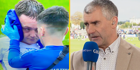 “This Limerick team have to learn to behave themselves” – Sheedy calls out Limerick’s late hits