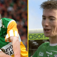 How a veterinary practice brought Offaly roots to Wexford county final day