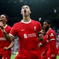 Player ratings as 10-man Liverpool pull off sensational win against Newcastle