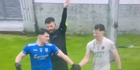 Offaly SFC final referee praised for over-turning red card decision as Tullamore regain title