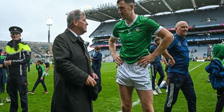 14 Limerick players nominated as Cody misses out on Hurler of the Year shout