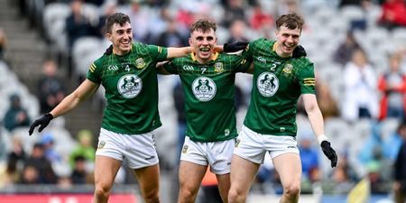 Meath dominate Tailteann Cup Team of the Year while some big hitters miss out