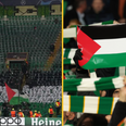 Celtic face UEFA disciplinary action after Palestinian flags flown at Champions League match