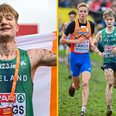 Nick Griggs leads Ireland team to European cross country gold in brilliant Brussels showing