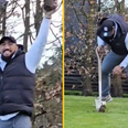Bundee Aki is a brave man as he takes chunks out of Peter O’Mahony’s famous garden
