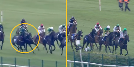 Jockey left shocked after loose horse causes chaos at Punchestown